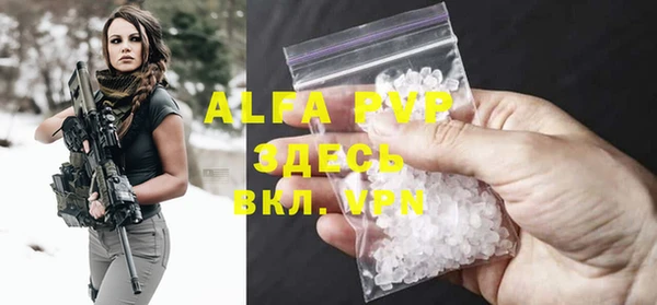 крисы Магас