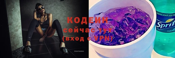 стафф Майский
