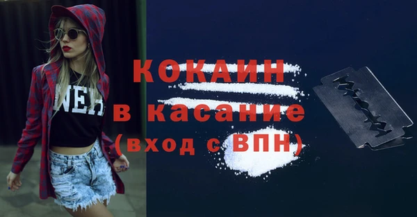 крисы Магас