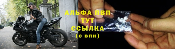 крисы Магас