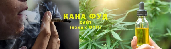 индика Березники