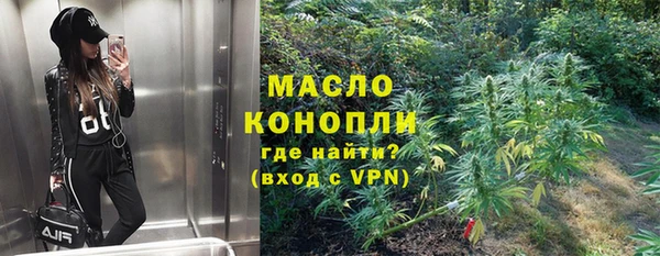 крисы Магас