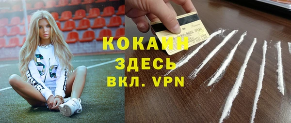 крисы Магас