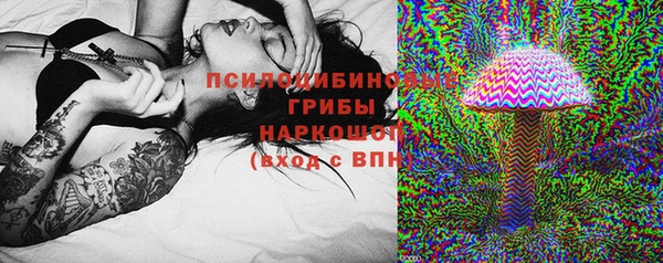 крисы Магас