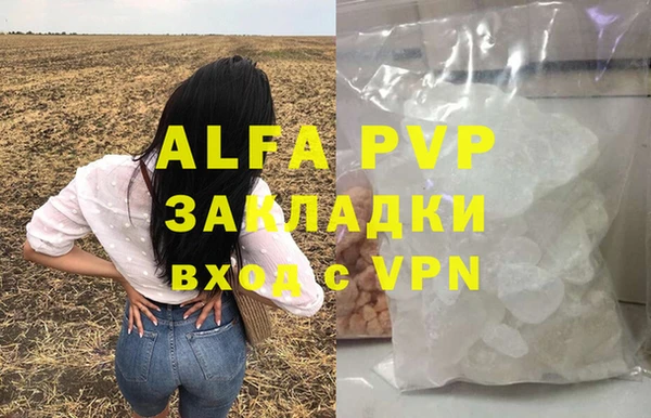 крисы Магас