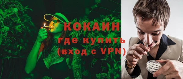 крисы Магас