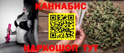 СК Гатчина