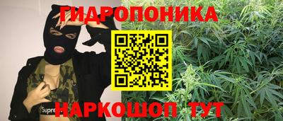 наркотики Гай