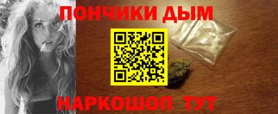 СК Гатчина