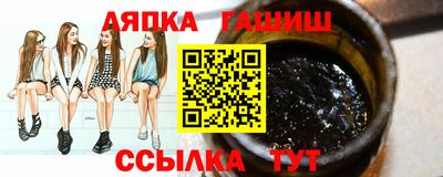 СК Гатчина