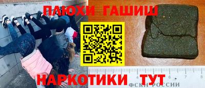 СК Гатчина