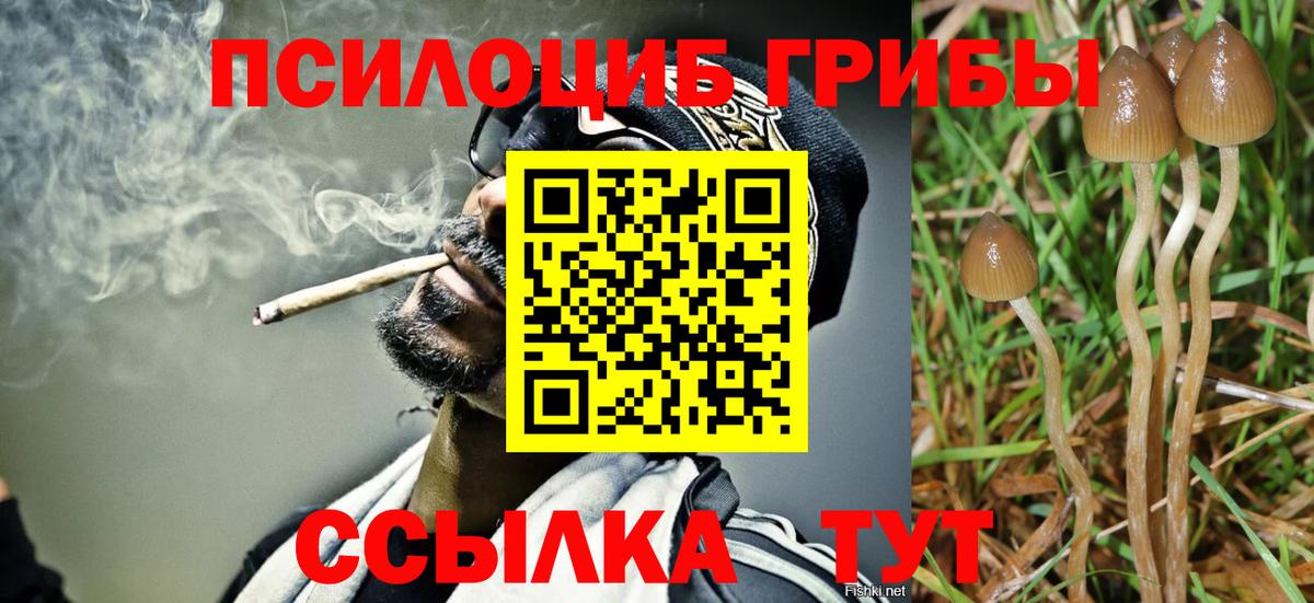 Галлюциногенные грибы GOLDEN TEACHER Прокопьевск