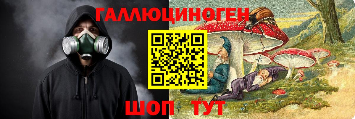 Псилоцибиновые грибы Cubensis  Прокопьевск 