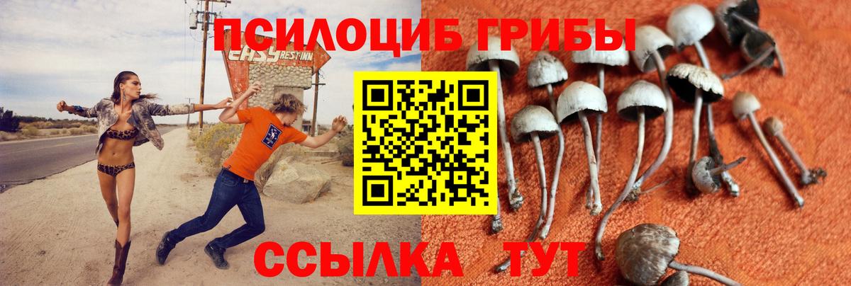 Галлюциногенные грибы ЛСД Прокопьевск
